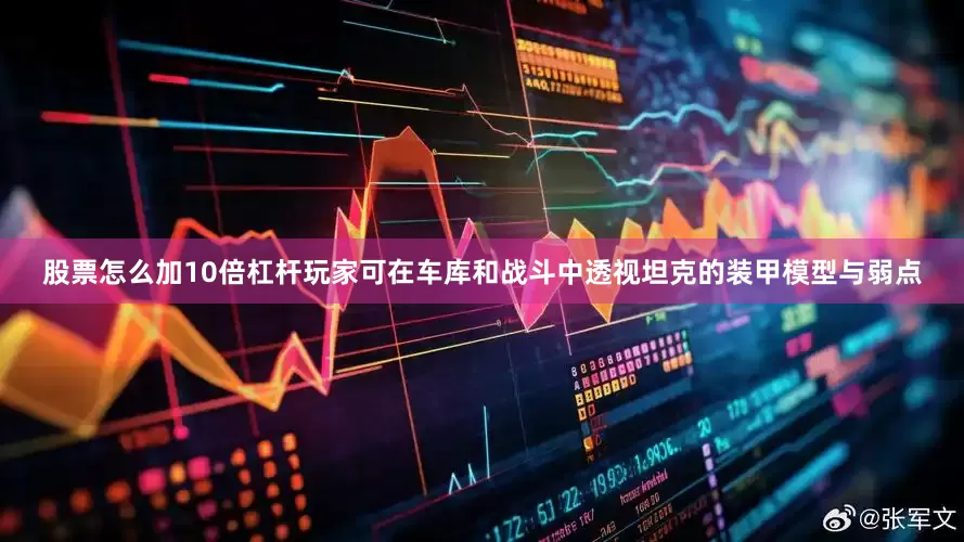 股票怎么加10倍杠杆玩家可在车库和战斗中透视坦克的装甲模型与弱点