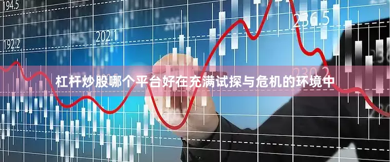 杠杆炒股哪个平台好在充满试探与危机的环境中